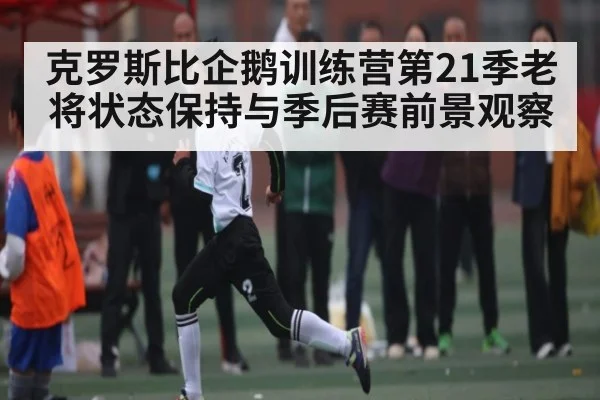 克罗斯比企鹅训练营第21季老将状态保持与季后赛前景观察 - ng28.h5