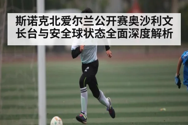 斯诺克北爱尔兰公开赛奥沙利文长台与安全球状态全面深度解析（ng28.h5）