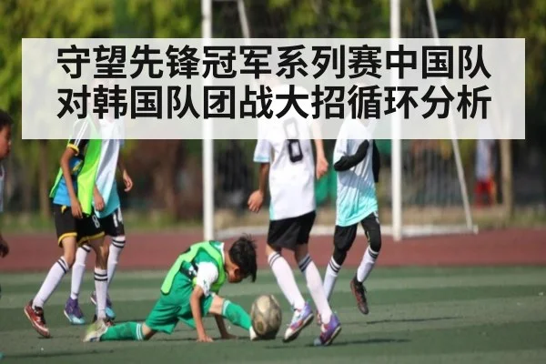 守望先锋冠军系列赛中国队对韩国队团战大招循环分析 - ng28.h5